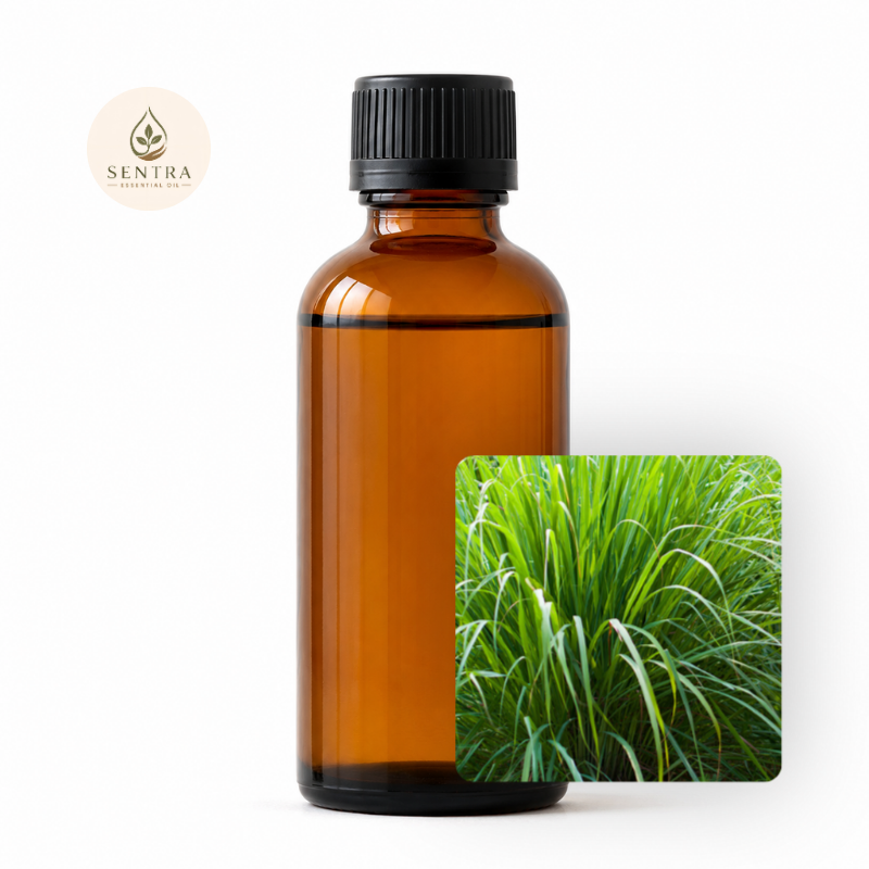 Perbedaan Minyak Sereh Wangi Tipe Mahapengiri dan Tipe Aster