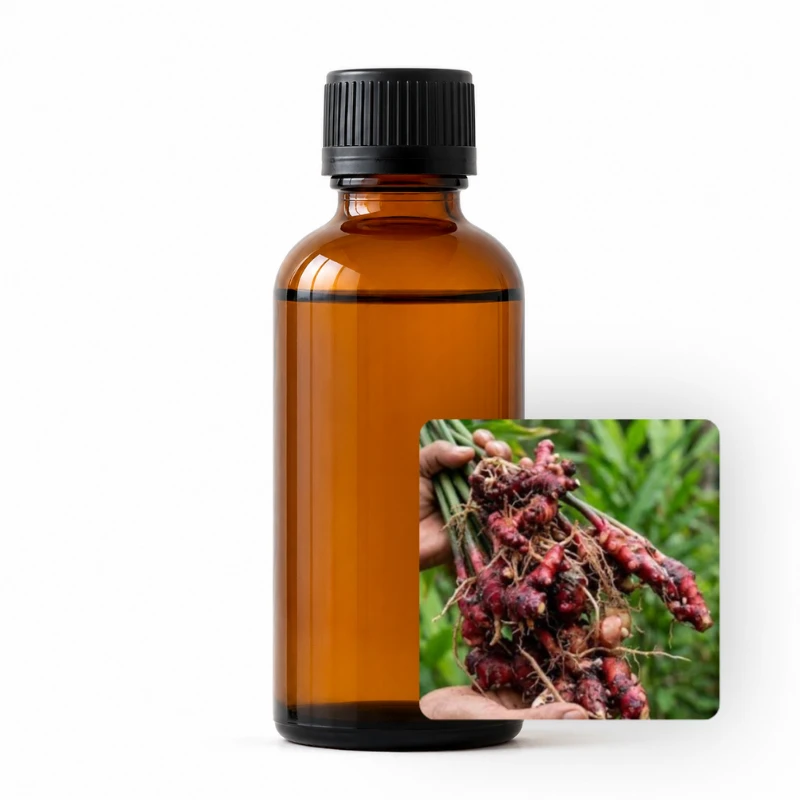 Red Ginger Essential Oil