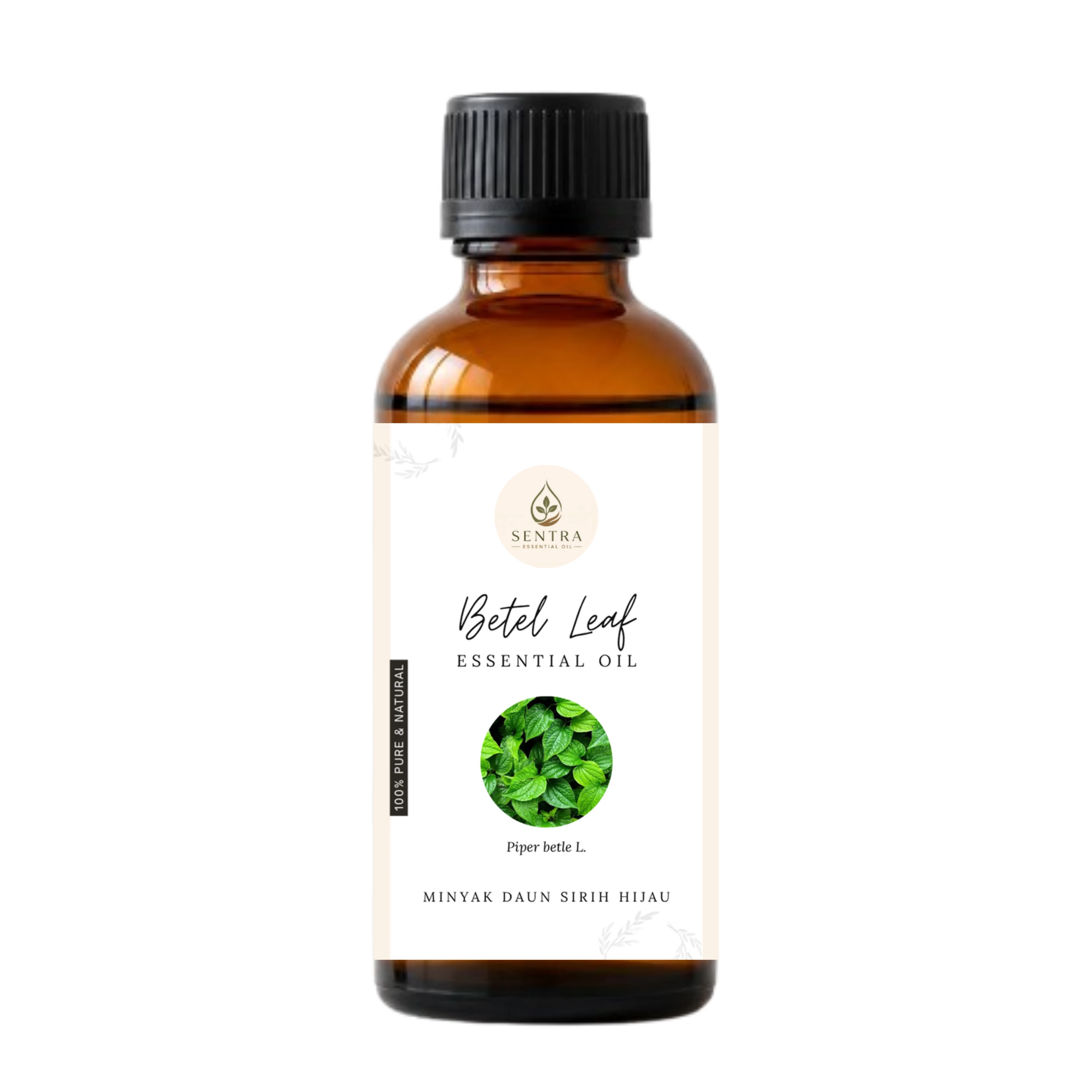 Betel Leaf Essential Oil