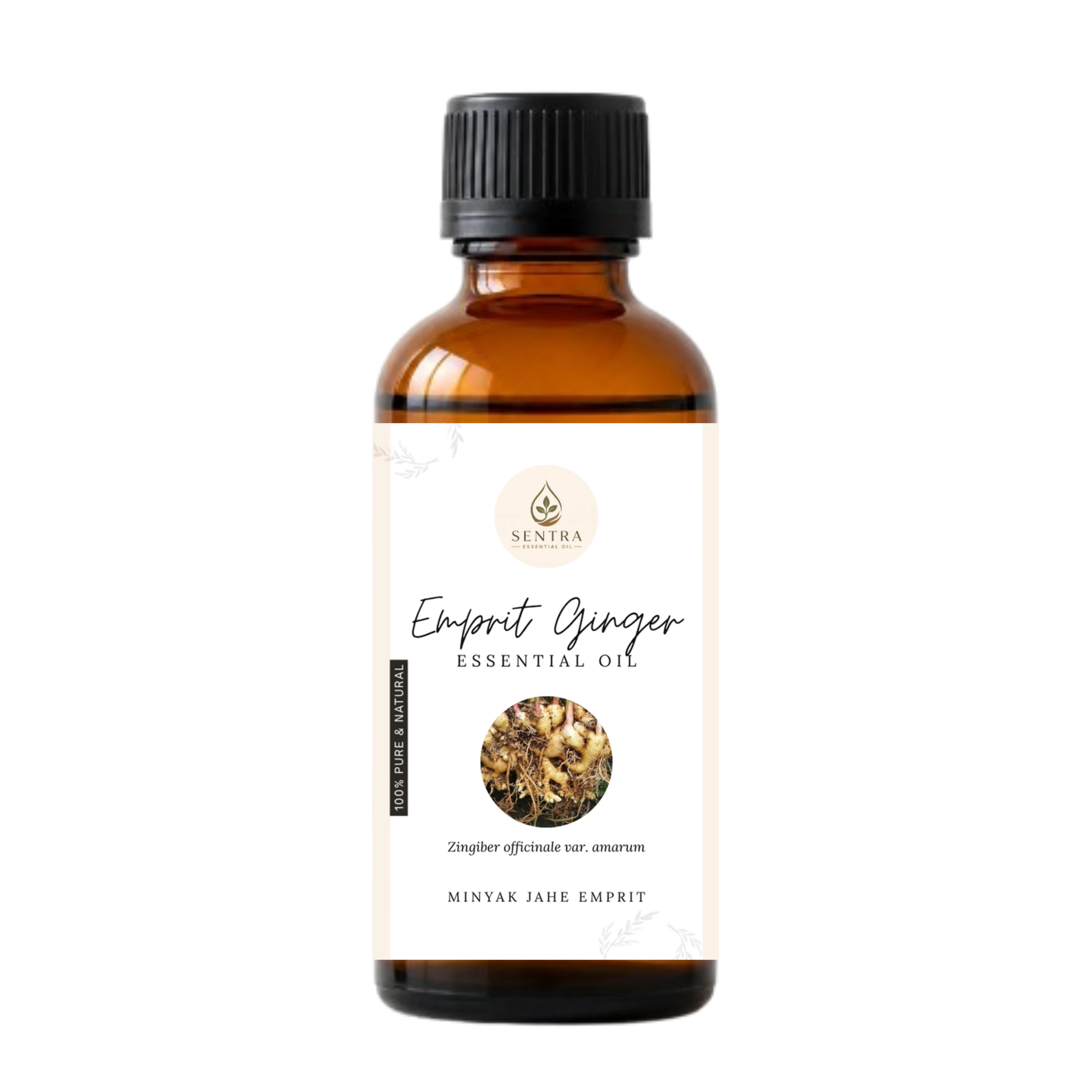 Ginger Essential Oil